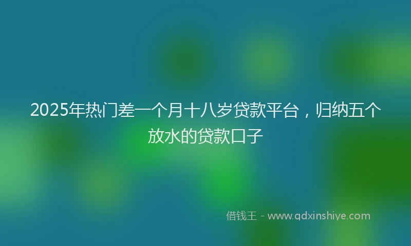 2025年热门差一个月十八岁贷款平台，归纳五个放水的贷款口子