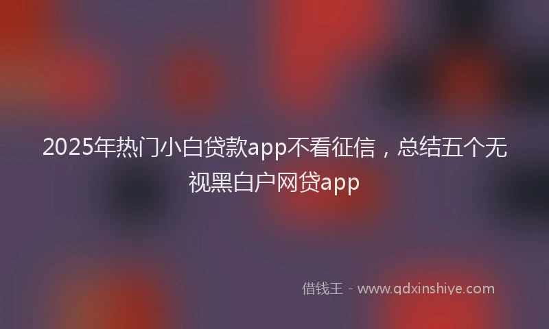 2025年热门小白贷款app不看征信，总结五个无视黑白户网贷app