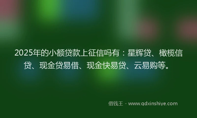 2025年的小额贷款上征信吗有：星辉贷、橄榄信贷、现金贷易借、现金快易贷、云易购等。