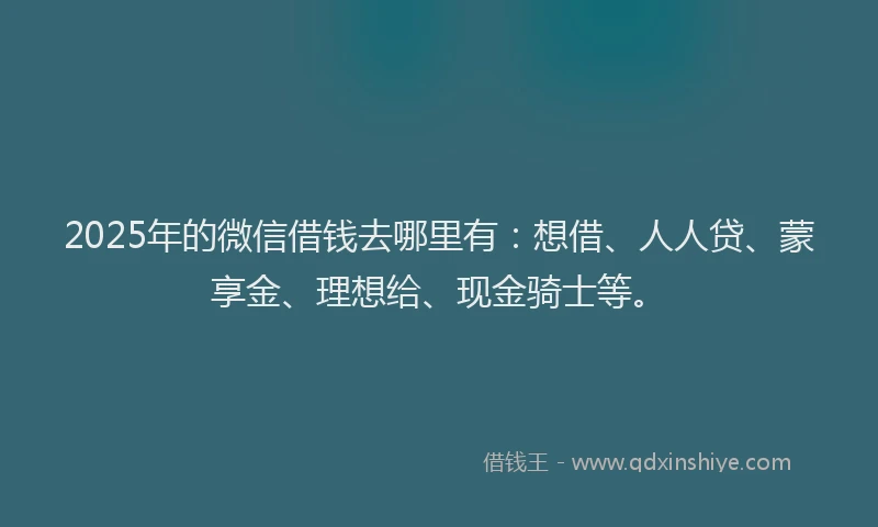 2025年的微信借钱去哪里有：想借、人人贷、蒙享金、理想给、现金骑士等。