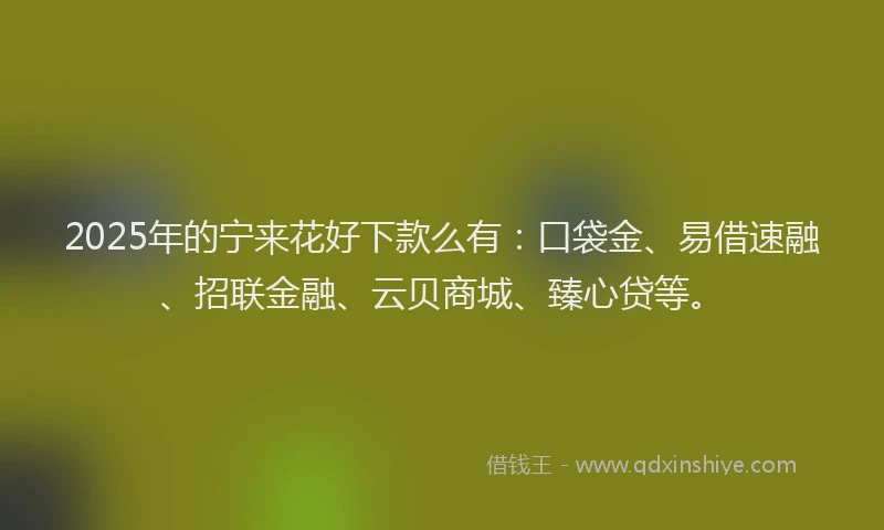 2025年的宁来花好下款么有：口袋金、易借速融、招联金融、云贝商城、臻心贷等。
