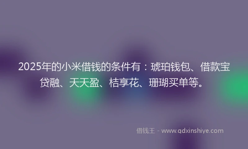 2025年的小米借钱的条件有：琥珀钱包、借款宝贷融、天天盈、桔享花、珊瑚买单等。