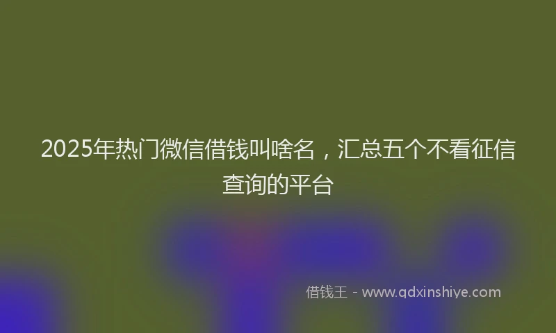 2025年热门微信借钱叫啥名，汇总五个不看征信查询的平台