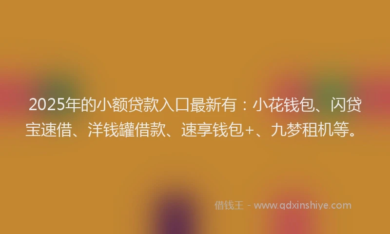 2025年的小额贷款入口最新有：小花钱包、闪贷宝速借、洋钱罐借款、速享钱包+、九梦租机等。