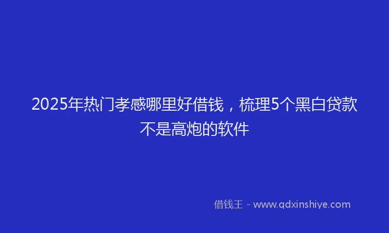 2025年热门孝感哪里好借钱，梳理5个黑白贷款不是高炮的软件