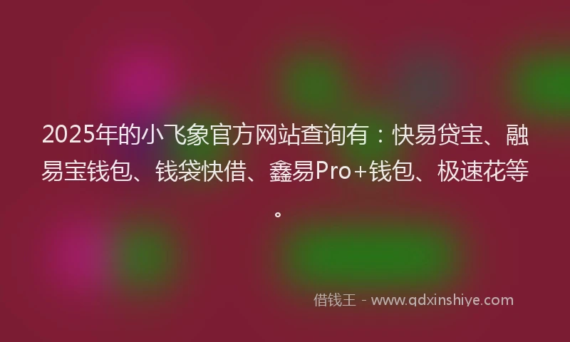2025年的小飞象官方网站查询有：快易贷宝、融易宝钱包、钱袋快借、鑫易Pro+钱包、极速花等。