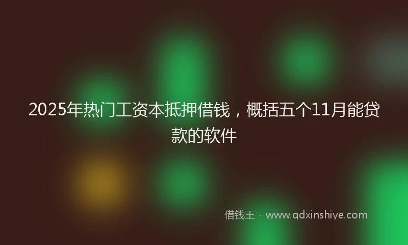 2025年热门工资本抵押借钱，概括五个11月能贷款的软件