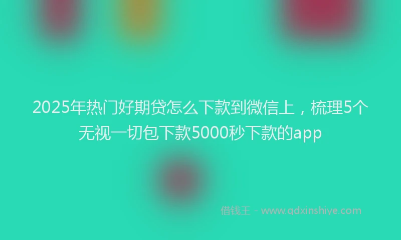 2025年热门好期贷怎么下款到微信上，梳理5个无视一切包下款5000秒下款的app