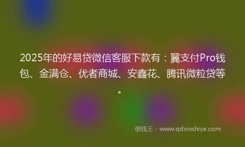 2025年的好易贷微信客服下款有：翼支付Pro钱包、金满仓、优者商城、安鑫花、腾讯微粒贷等。
