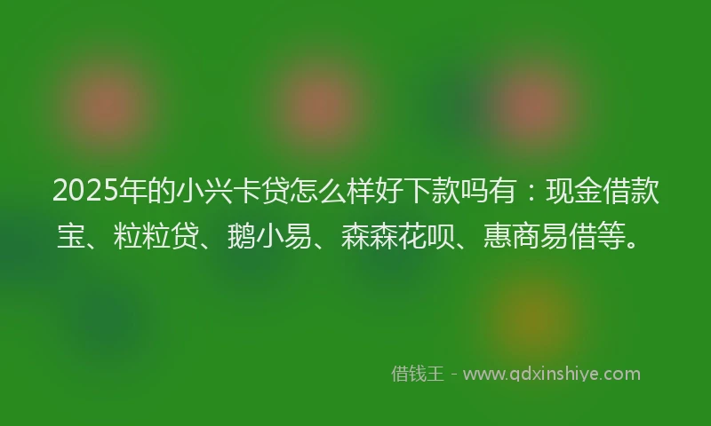 2025年的小兴卡贷怎么样好下款吗有：现金借款宝、粒粒贷、鹅小易、森森花呗、惠商易借等。
