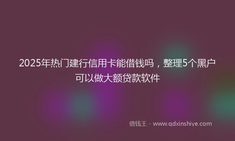 2025年热门建行信用卡能借钱吗，整理5个黑户可以做大额贷款软件