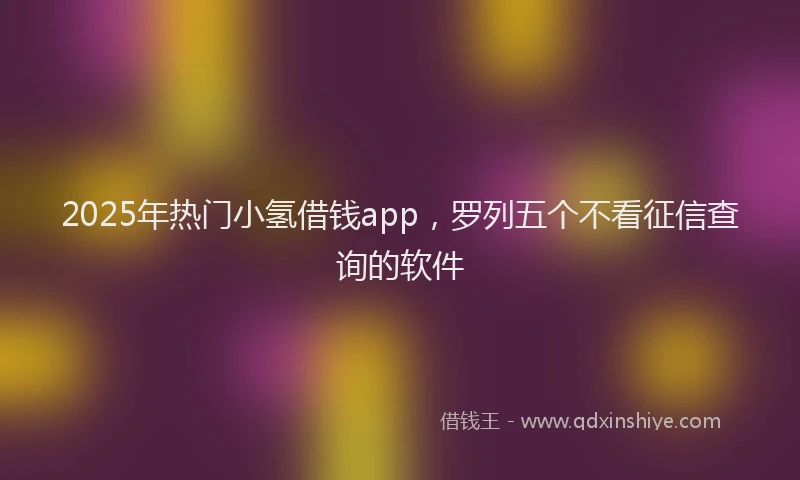 2025年热门小氢借钱app，罗列五个不看征信查询的软件