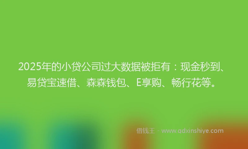 2025年的小贷公司过大数据被拒有：现金秒到、易贷宝速借、森森钱包、E享购、畅行花等。