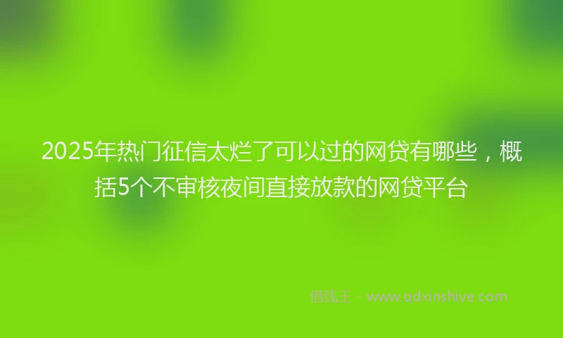 2025年热门征信太烂了可以过的网贷有哪些，概括5个不审核夜间直接放款的网贷平台