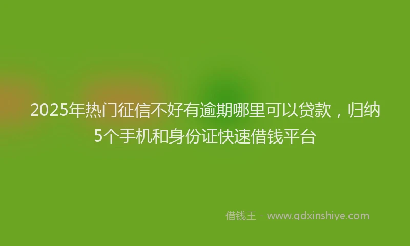 2025年热门征信不好有逾期哪里可以贷款，归纳5个手机和身份证快速借钱平台