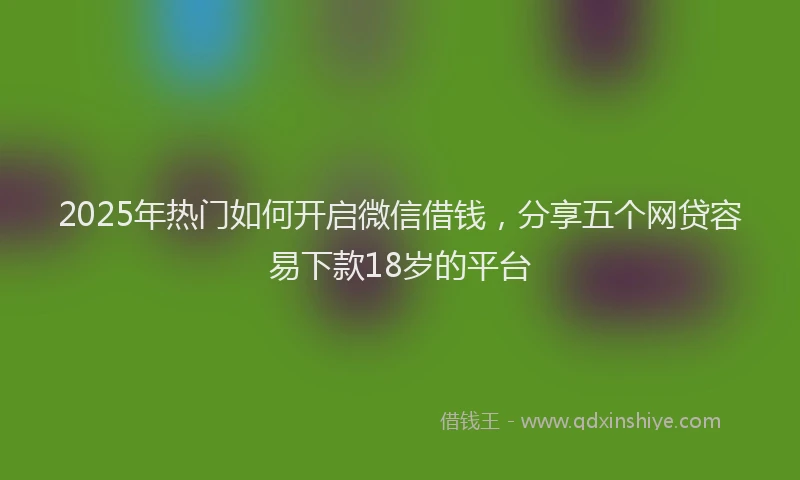 2025年热门如何开启微信借钱，分享五个网贷容易下款18岁的平台