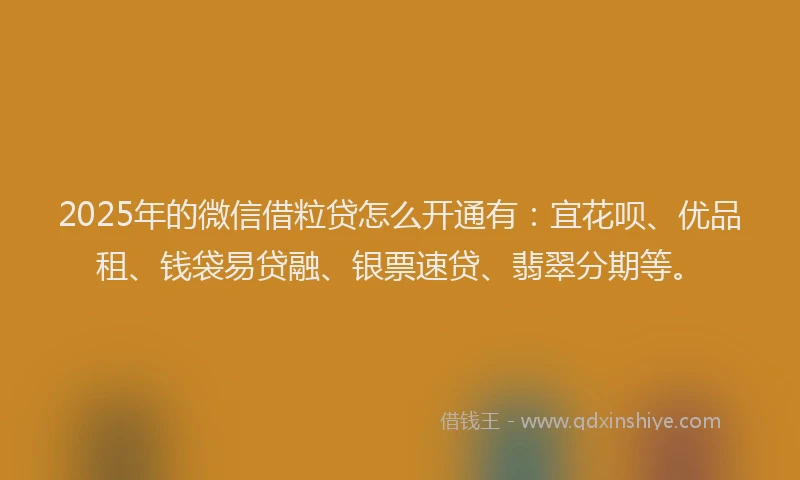 2025年的微信借粒贷怎么开通有：宜花呗、优品租、钱袋易贷融、银票速贷、翡翠分期等。