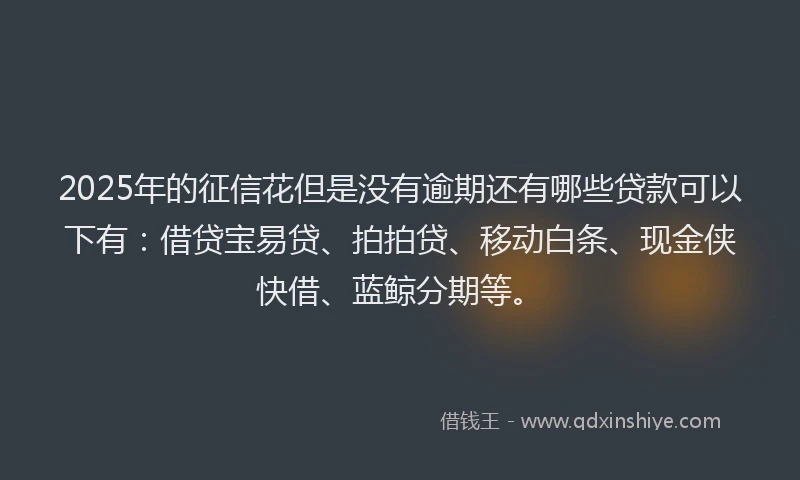 2025年的征信花但是没有逾期还有哪些贷款可以下有：借贷宝易贷、拍拍贷、移动白条、现金侠快借、蓝鲸分期等。