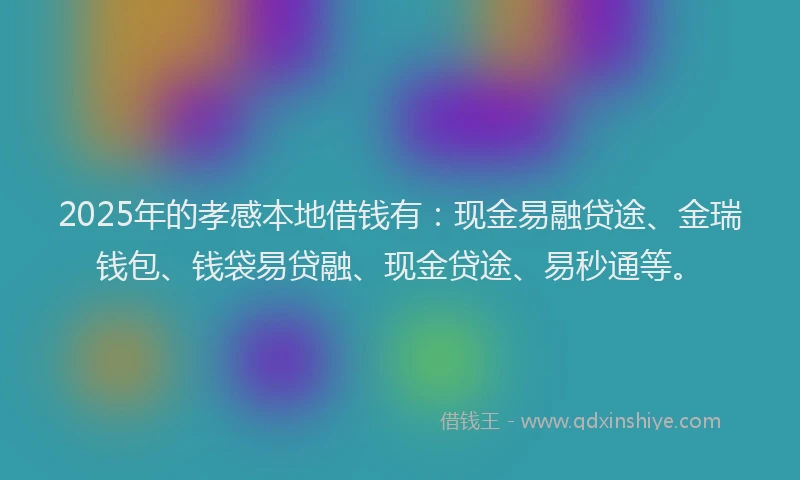 2025年的孝感本地借钱有：现金易融贷途、金瑞钱包、钱袋易贷融、现金贷途、易秒通等。