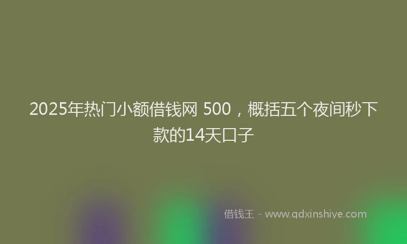 2025年热门小额借钱网 500，概括五个夜间秒下款的14天口子