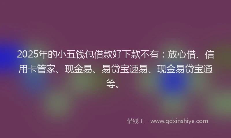 2025年的小五钱包借款好下款不有：放心借、信用卡管家、现金易、易贷宝速易、现金易贷宝通等。
