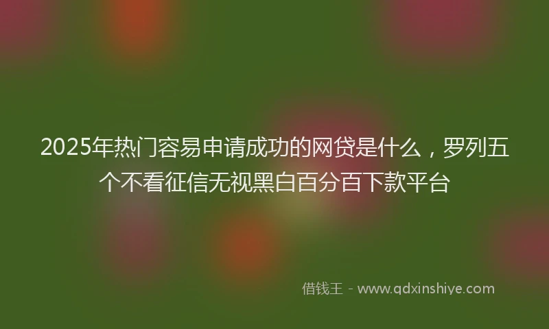 2025年热门容易申请成功的网贷是什么，罗列五个不看征信无视黑白百分百下款平台