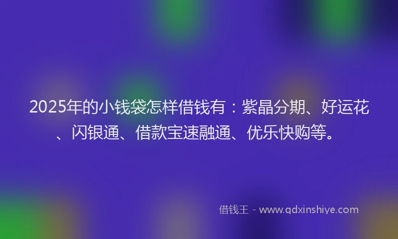 2025年的小钱袋怎样借钱有：紫晶分期、好运花、闪银通、借款宝速融通、优乐快购等。