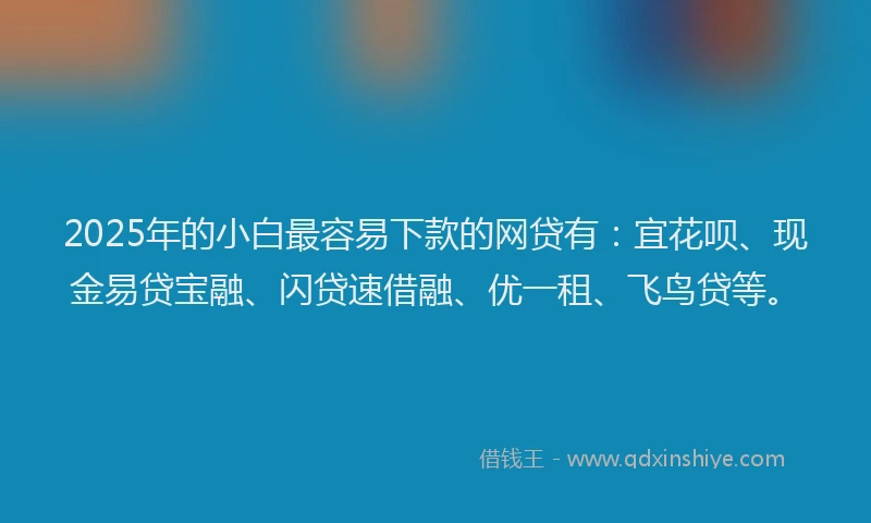 2025年的小白最容易下款的网贷有：宜花呗、现金易贷宝融、闪贷速借融、优一租、飞鸟贷等。