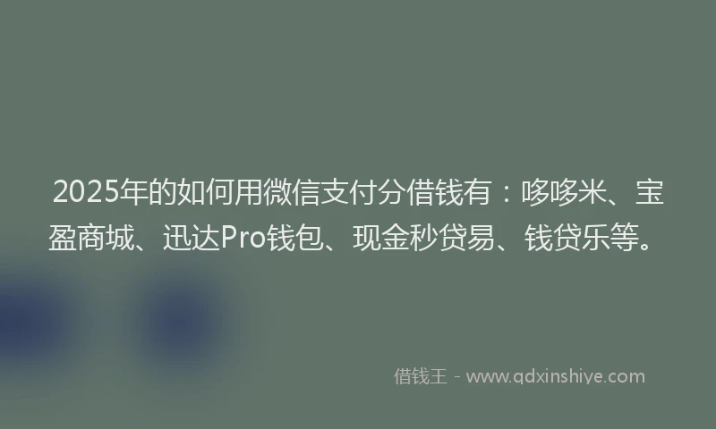 2025年的如何用微信支付分借钱有：哆哆米、宝盈商城、迅达Pro钱包、现金秒贷易、钱贷乐等。