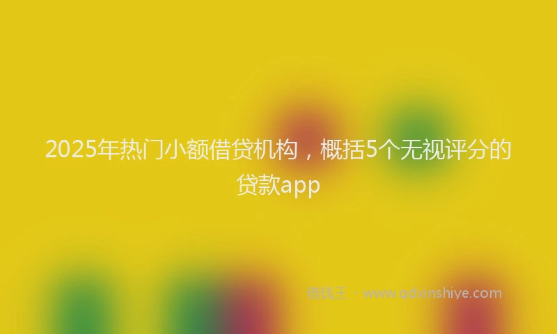 2025年热门小额借贷机构，概括5个无视评分的贷款app