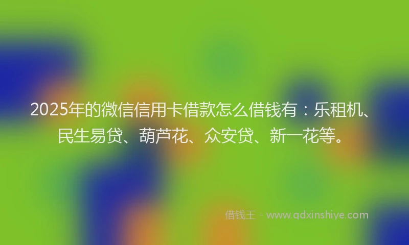 2025年的微信信用卡借款怎么借钱有：乐租机、民生易贷、葫芦花、众安贷、新一花等。