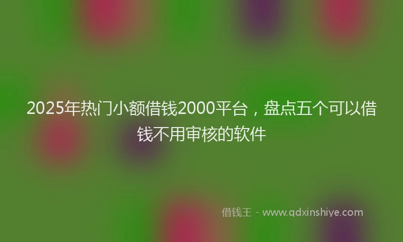 2025年热门小额借钱2000平台，盘点五个可以借钱不用审核的软件