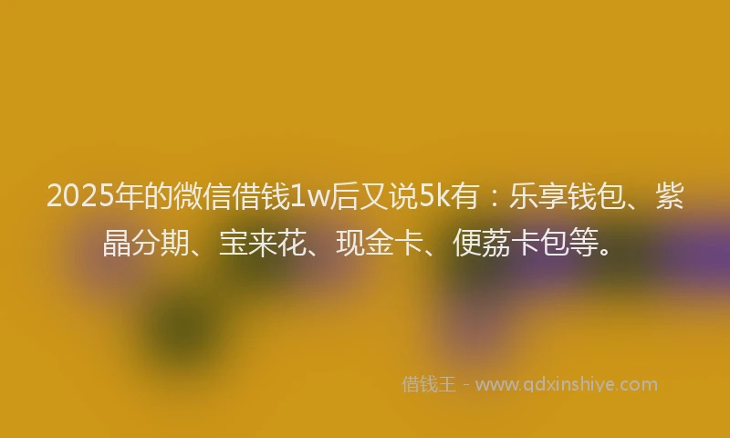 2025年的微信借钱1w后又说5k有：乐享钱包、紫晶分期、宝来花、现金卡、便荔卡包等。