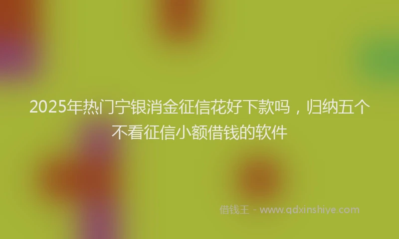 2025年热门宁银消金征信花好下款吗，归纳五个不看征信小额借钱的软件