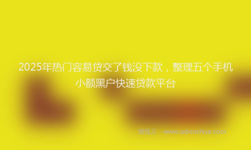 2025年热门容易贷交了钱没下款，整理五个手机小额黑户快速贷款平台