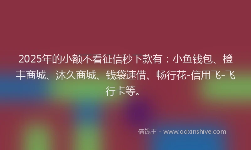 2025年的小额不看征信秒下款有：小鱼钱包、橙丰商城、沐久商城、钱袋速借、畅行花-信用飞-飞行卡等。