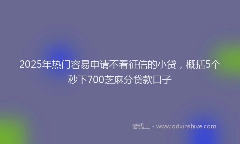 2025年热门容易申请不看征信的小贷，概括5个秒下700芝麻分贷款口子