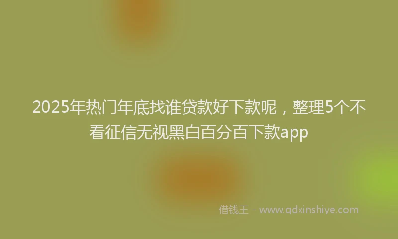 2025年热门年底找谁贷款好下款呢，整理5个不看征信无视黑白百分百下款app