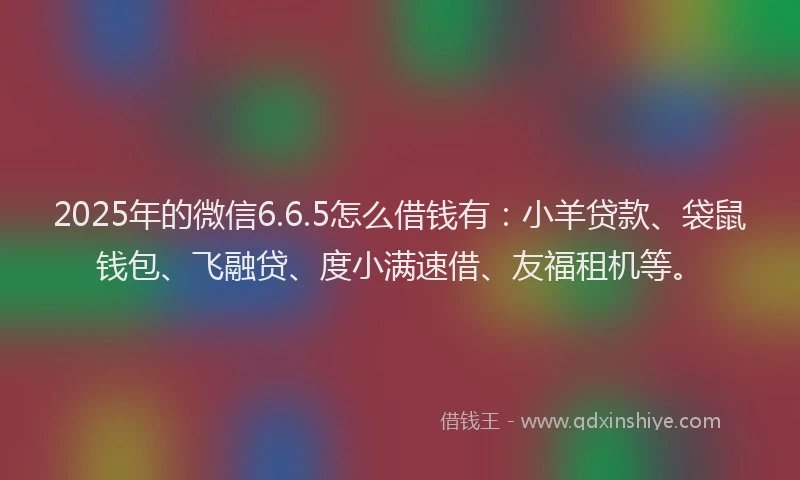 2025年的微信6.6.5怎么借钱有：小羊贷款、袋鼠钱包、飞融贷、度小满速借、友福租机等。