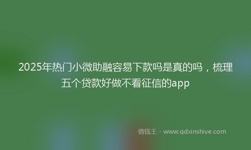 2025年热门小微助融容易下款吗是真的吗，梳理五个贷款好做不看征信的app