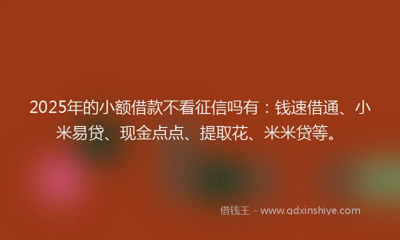 2025年的小额借款不看征信吗有：钱速借通、小米易贷、现金点点、提取花、米米贷等。
