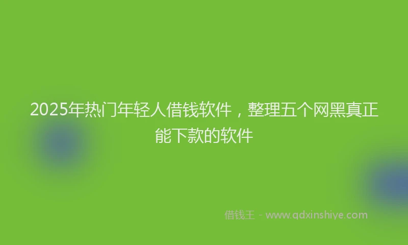 2025年热门年轻人借钱软件，整理五个网黑真正能下款的软件