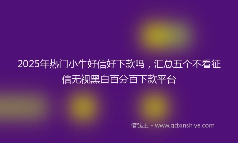 2025年热门小牛好信好下款吗，汇总五个不看征信无视黑白百分百下款平台