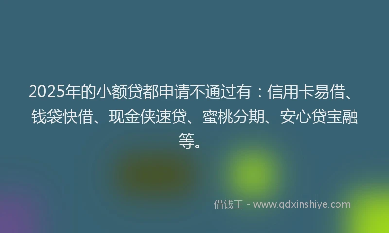 2025年的小额贷都申请不通过有：信用卡易借、钱袋快借、现金侠速贷、蜜桃分期、安心贷宝融等。