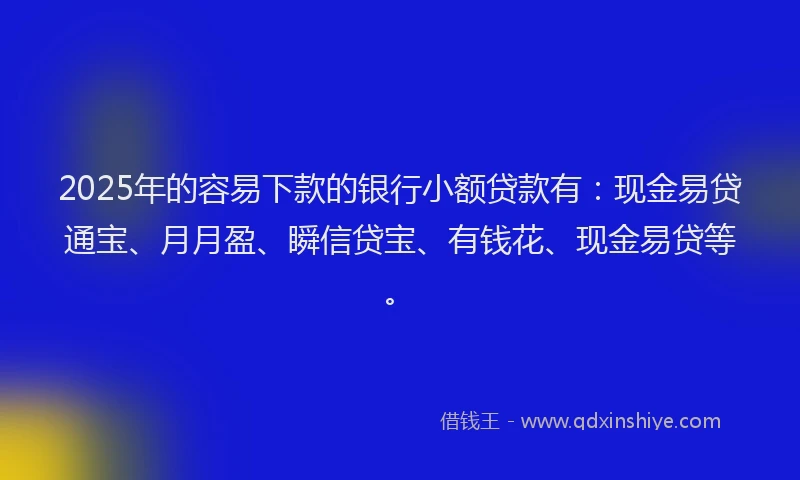 2025年的容易下款的银行小额贷款有：现金易贷通宝、月月盈、瞬信贷宝、有钱花、现金易贷等。
