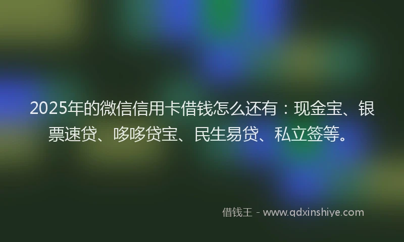 2025年的微信信用卡借钱怎么还有：现金宝、银票速贷、哆哆贷宝、民生易贷、私立签等。