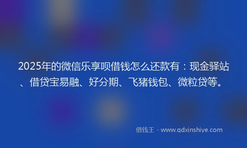 2025年的微信乐享呗借钱怎么还款有：现金驿站、借贷宝易融、好分期、飞猪钱包、微粒贷等。