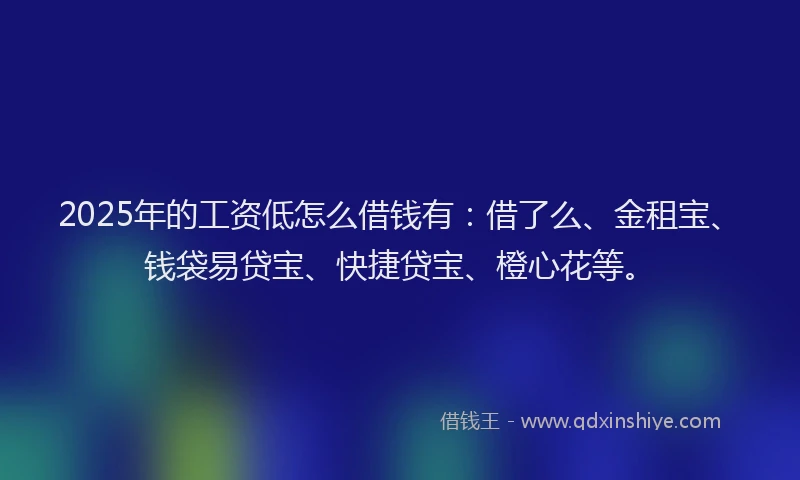 2025年的工资低怎么借钱有：借了么、金租宝、钱袋易贷宝、快捷贷宝、橙心花等。