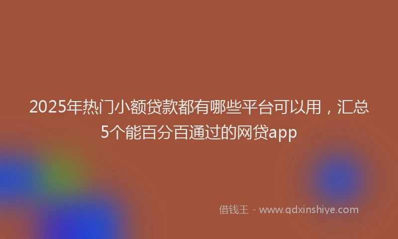 2025年热门小额贷款都有哪些平台可以用，汇总5个能百分百通过的网贷app