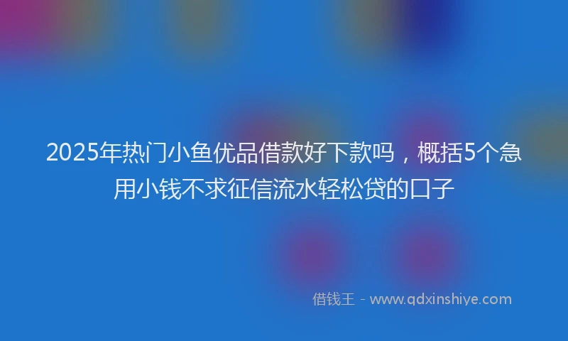 2025年热门小鱼优品借款好下款吗，概括5个急用小钱不求征信流水轻松贷的口子